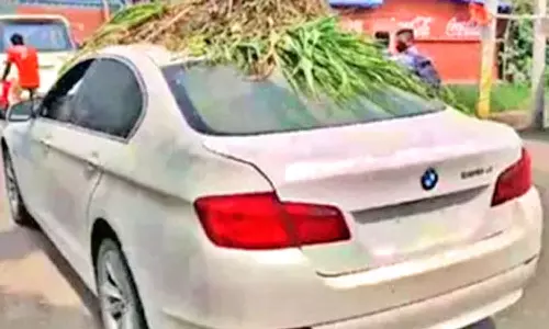 சொகுசு காரில் கால்நடை தீவனத்தை ஏற்றி சென்ற நபர்