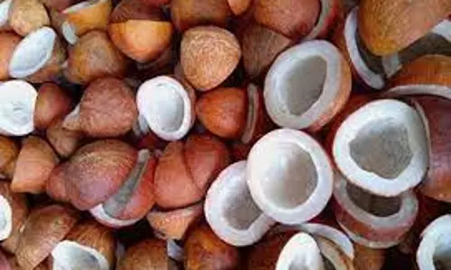 ரூ.3 லட்சத்துக்கு கொப்பரை தேங்காய் ஏலம்