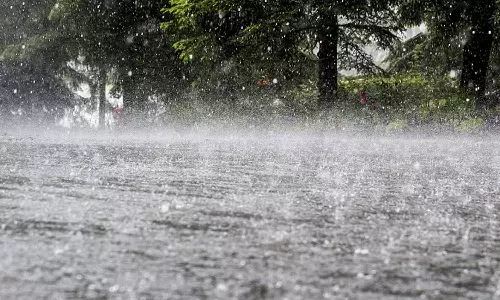 பருவமழை முன்னெச்சரிக்கை: சப்-கலெக்டர் நேரில் சென்று ஆய்வு