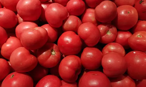 பாவூர்சத்திரம் காய்கறி மார்க்கெட்டில் தக்காளி கிலோ ரூ.8 ஆக குறைந்தது