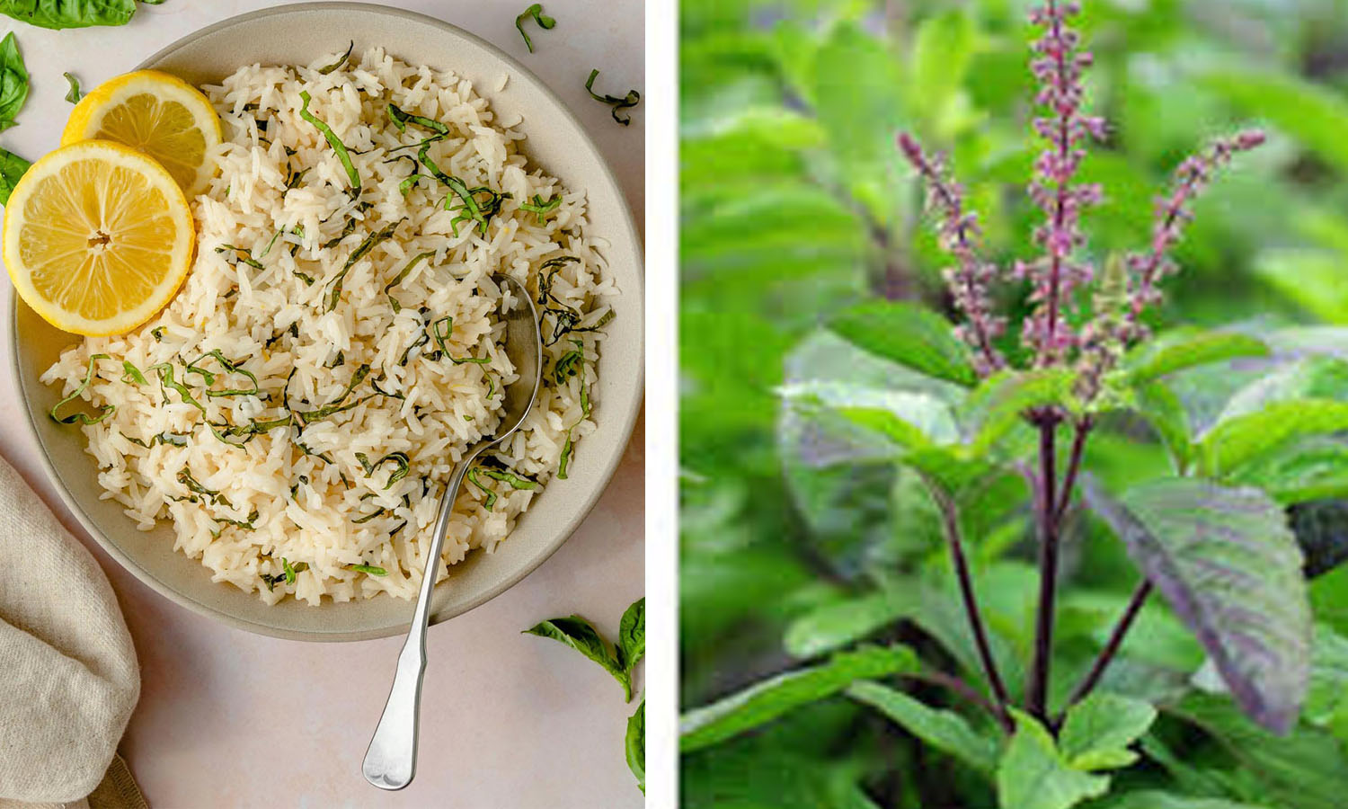 சலி, இருமல் தொல்லை நீங்க துளசி சாதம்