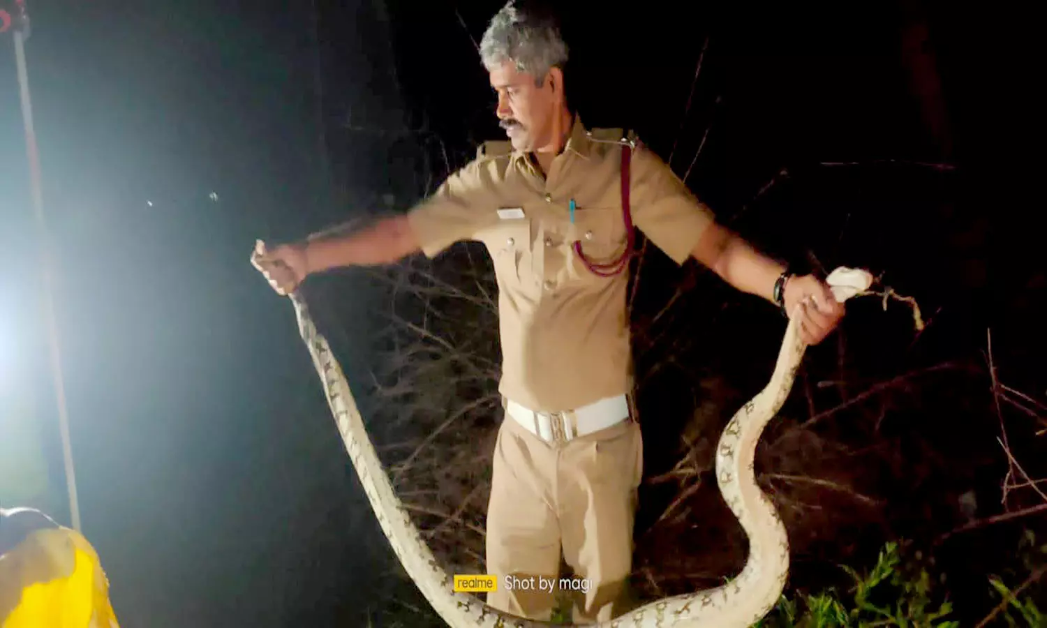 குடியிருப்பு பகுதிகளில் புகுந்த 4 பாம்புகள் பிடிபட்டது குடியிருப்பு பகுதிகளில் புகுந்த 4 பாம்புகள் பிடிபட்டது