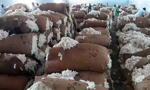 ரூ.30 லட்சத்திற்கு பருத்தி விற்பனை