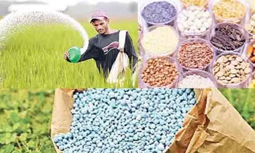 நஞ்சை சம்பா நெல் சாகுபடி  விவசாயிகளுக்கு மானிய விலையில்  வேளாண் இடு பொருட்கள்