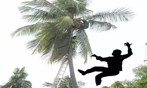 குலசேகரம் அருகே மரத்தில் இருந்து தவறி விழுந்து தொழிலாளி சாவு