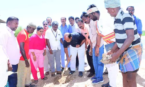 தஞ்சையில், பனைமர விதைகள் நடும்விழா