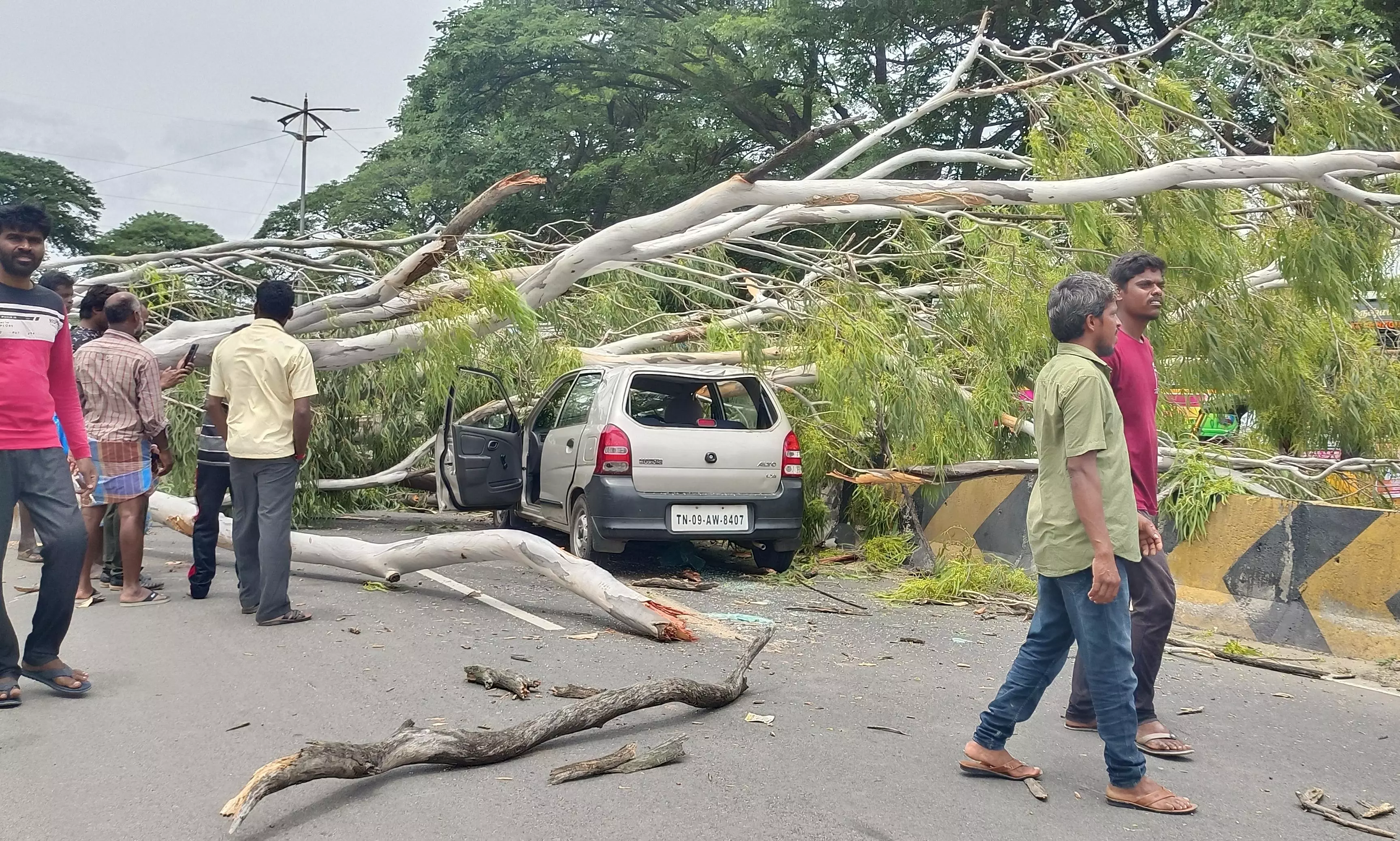 தருமபுரி அருகே சாலையில் சென்ற கார் மீது மரம் சாய்ந்து விழுந்து 2 பேர் காயம் போக்குவரத்து பாதிப்பு தருமபுரி அருகே சாலையில் சென்ற கார் மீது மரம் சாய்ந்து விழுந்து 2 பேர் காயம் போக்குவரத்து பாதிப்பு