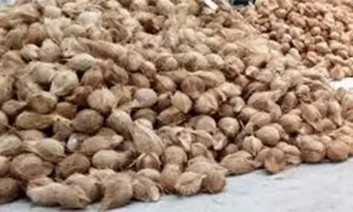 ரூ.2 லட்சத்து 79 ஆயிரத்துக்கு தேங்காய் விற்பனை