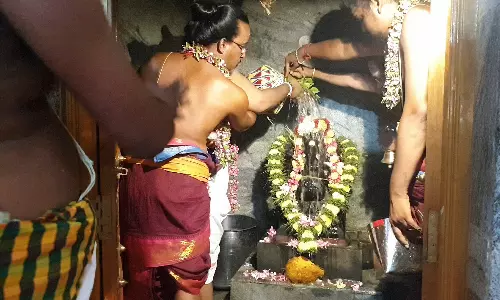 நரசிம்மநாயக்கன்பாளையம் விநாயகர் கோவிலில் கும்பாபிஷேகம்