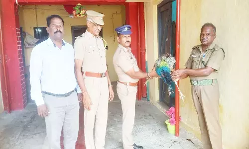 ரெயிலில் மயில் கடத்தல்