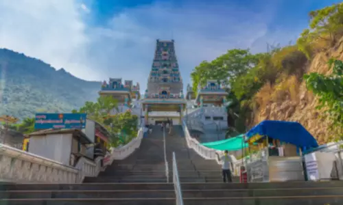 மருதமலை பெயர் சிறப்புகள்