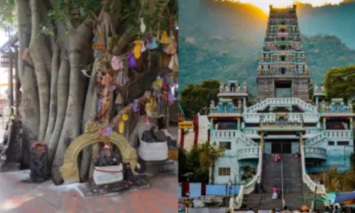 மரத்தில் தவம் செய்யும் முனிவர்கள்