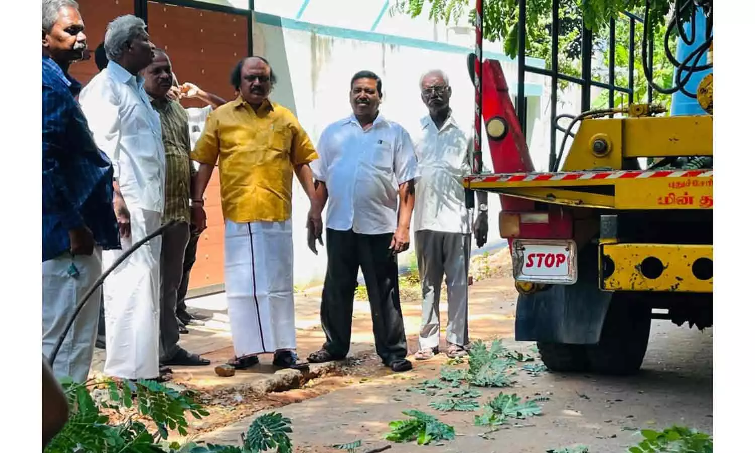 கோலாஸ் நகரில் மரம் சாய்ந்து மின் துண்டிப்பு