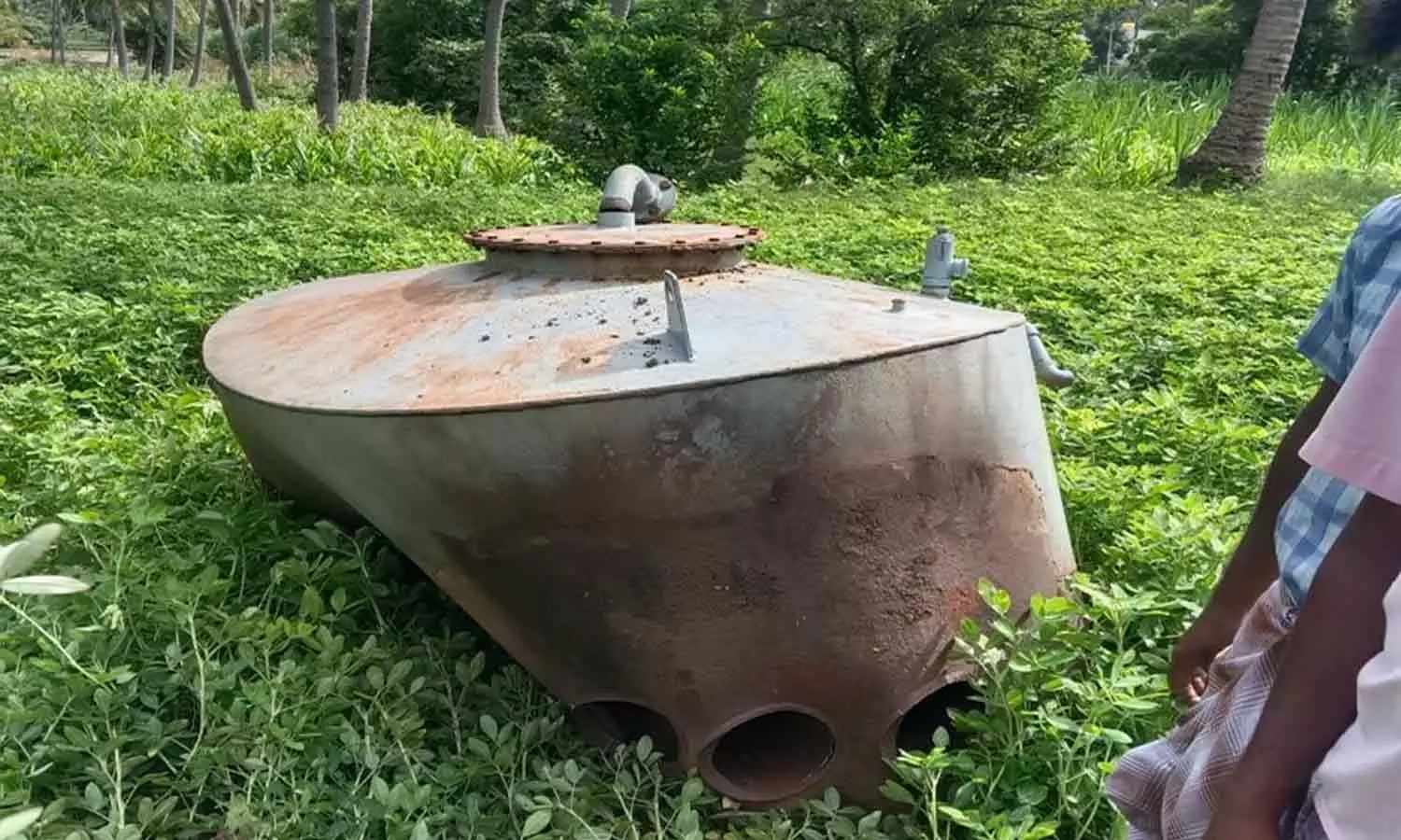 பாய்லர் வெடித்து மாடு சாவு