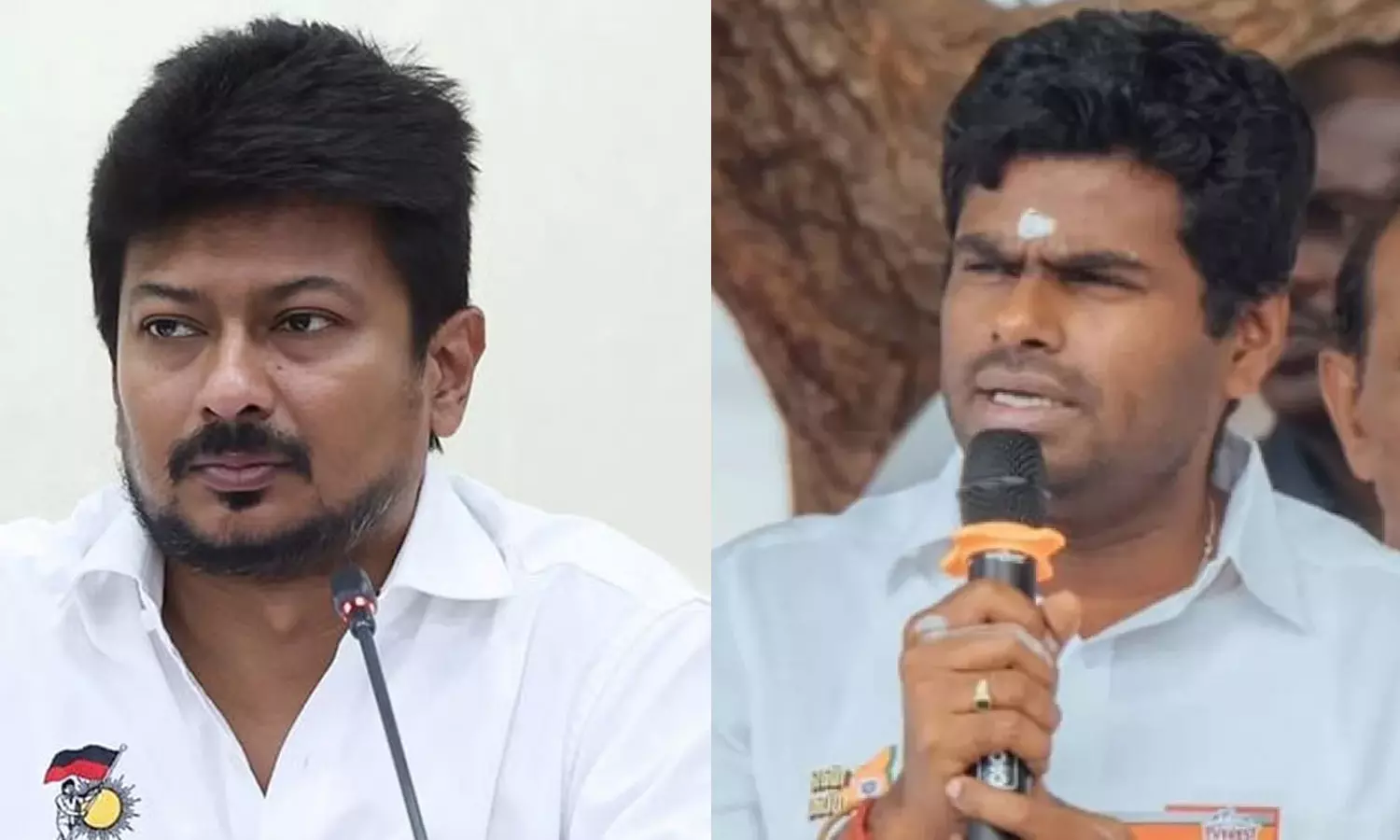 12-வது பாட புத்தகத்தில் சனாதனத்திற்கு ஆதரவு.. உதயநிதியை சீண்டிய அண்ணாமலை