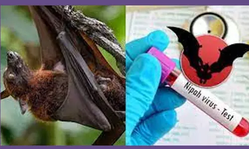 கேரளாவில் நிபா வைரஸ் பாதித்து 2 பேர் பலி? பொதுமக்கள் எச்சரிக்கையுடன் இருக்க சுகாதாரத்துறை அறிவுறுத்தல்
