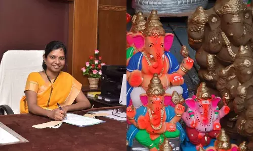 களி மண்ணால் செய்த சிலைகளையே நீர்நிலைகளில் கரைக்க வேண்டும்- கலெக்டர் அறிவிப்பு