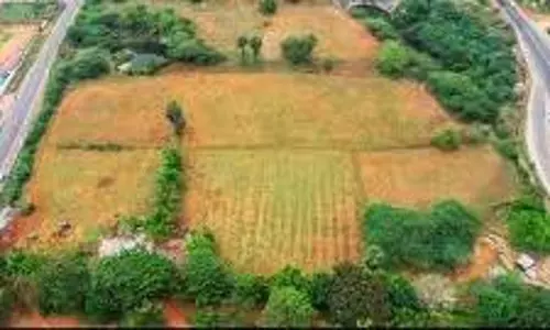 அனுமதியற்ற மனைகளை வரன்முறைப்படுத்த காலக்கெடு நீடிப்பு