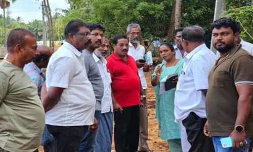 தெங்கம்புதூர்-குளத்துவிளையில் மக்களிடம் குறை கேட்ட மேயர்