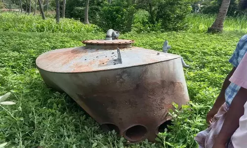 பாய்லர் வெடித்து மாடு சாவு