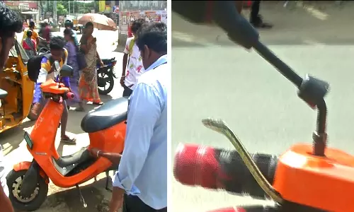 நெல்லை சந்திப்பு பஸ் நிலைய பகுதியில் பைக்- ஆட்டோவுக்குள் புகுந்த பாம்பால் பரபரப்பு