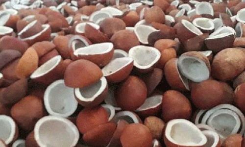 ரூ.57 லட்சத்துக்கு தேங்காய் பருப்பு விற்பனை