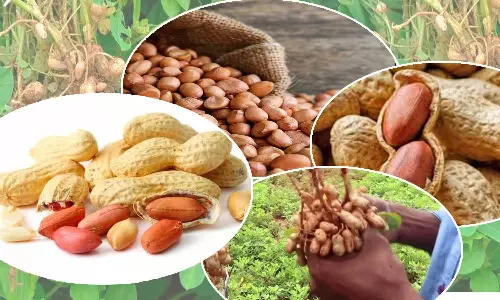 சேவூா் ஒழுங்குமுறை விற்பனைக்கூடத்தில் ரூ.15 லட்சத்திற்கு  நிலக்கடலை ஏலம்