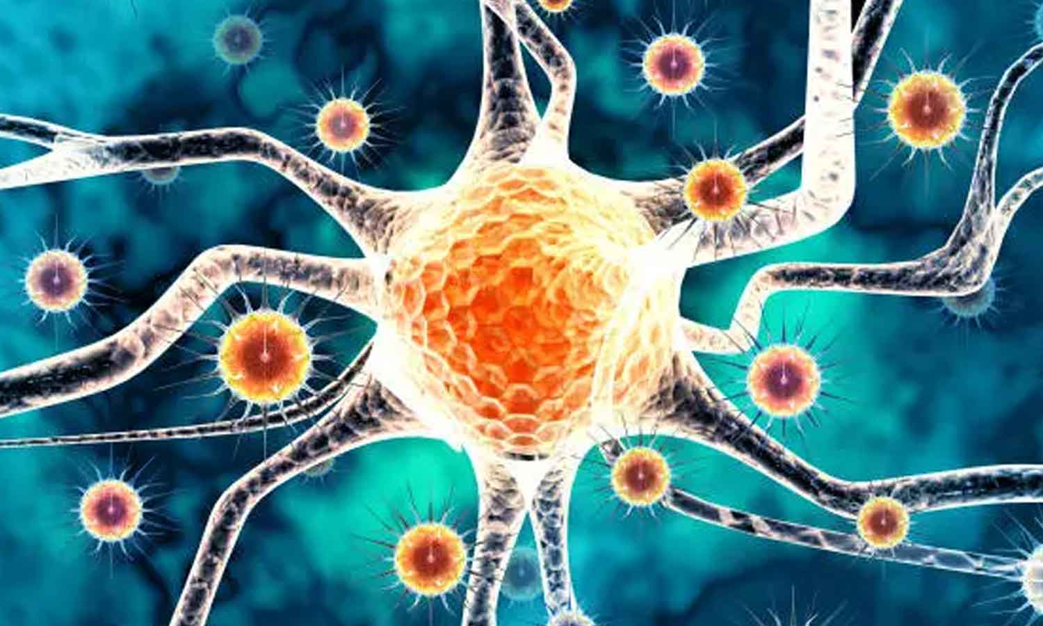 நிபா வைரஸ் தடுப்பு நடவடிக்கை: தமிழக-கேரள எல்லையில் தீவிர கண்காணிப்பு