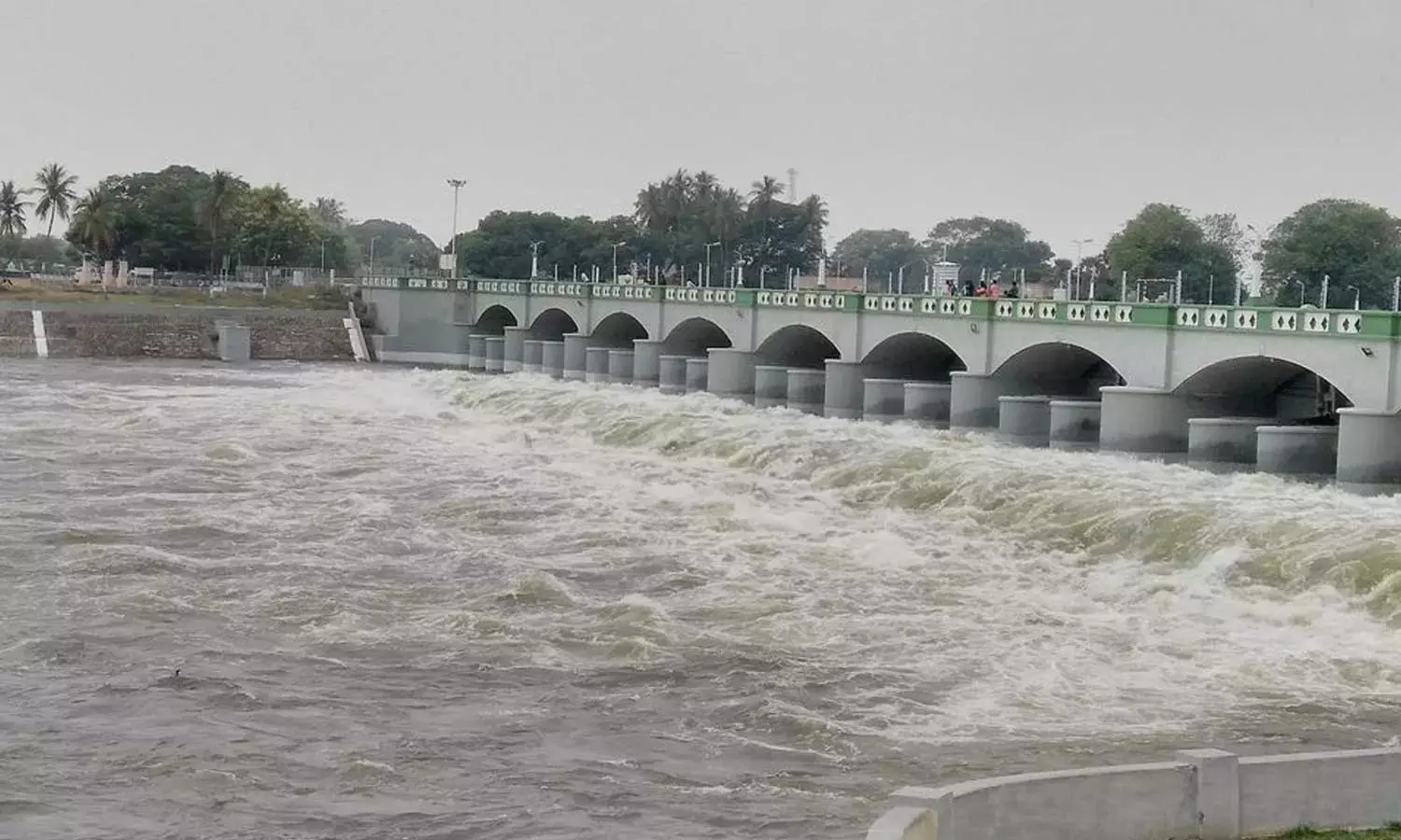 காவிரி ஒழுங்காற்றுக்குழு பரிந்துரைப்படி தமிழகத்திற்கு கர்நாடகா தண்ணீர் திறக்கவில்லை காவிரி ஒழுங்காற்றுக்குழு பரிந்துரைப்படி தமிழகத்திற்கு கர்நாடகா தண்ணீர் திறக்கவில்லை