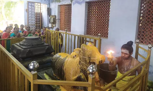 கன்னியாகுமரி பகுதியில் 12 சிவாலயங்களில் பிரதோஷ வழிபாடு