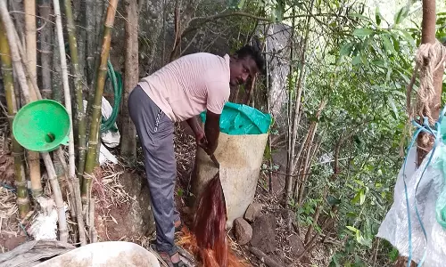 கல்வராயன் மலையில் 800 லிட்டர் சாராய ஊறல் அழிப்பு