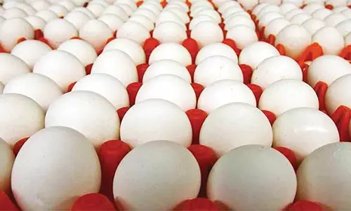 நாமக்கல் மண்டலத்தில்முட்டை விலை மேலும் 5 பைசா உயர்வு