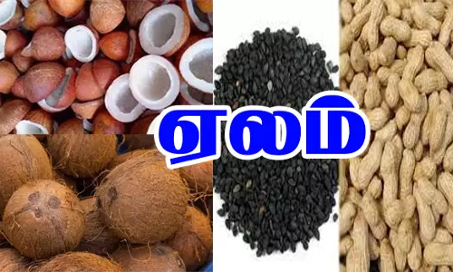 சாலைப்புதூரில் வேளாண் ஒழுங்கு முறை விற்பனை கூடத்தில் ரூ.38.27 லட்சத்துக்கு ஏலம்