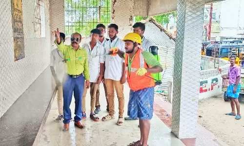 நெல்லை மாநகர பகுதிகளில் கொசு மருந்து அடிக்கும் பணி தீவிரம்