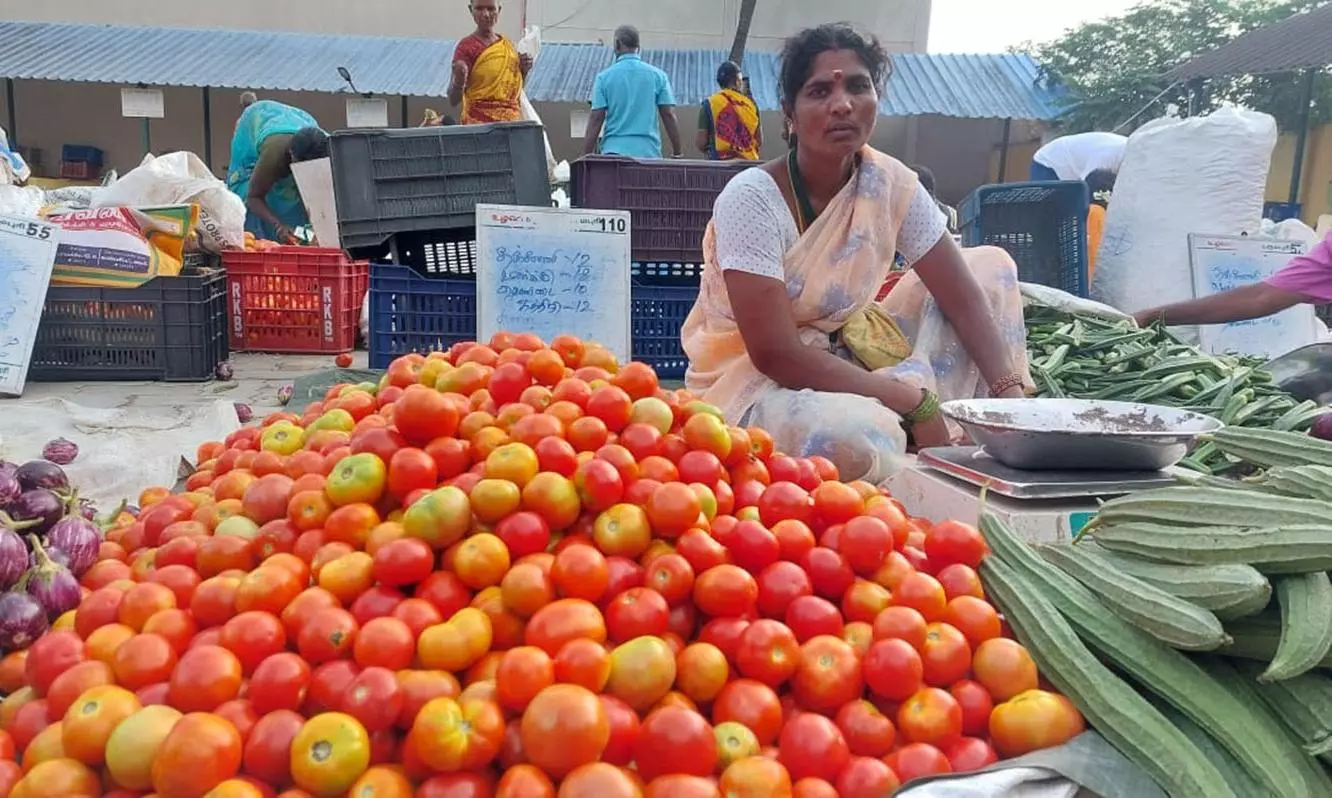 வரத்து அதிகரிப்பால் தக்காளி விலை மீண்டும் சரிவு வரத்து அதிகரிப்பால் தக்காளி விலை மீண்டும் சரிவு