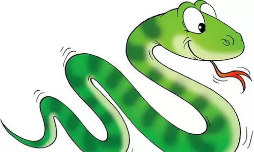 வகுப்பறையில் மாணவனை பாம்பு கடித்தது