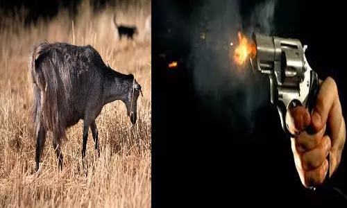 ஆடு மேய்ந்ததால் ஆட்கள் உயிர் போனது: ம.பி.யில் பயங்கரம்