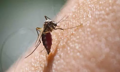 புதுச்சேரியில் டெங்கு காய்ச்சலால் 37 பேர் பாதிப்பு- தடுப்பு நடவடிக்கை தீவிரம்