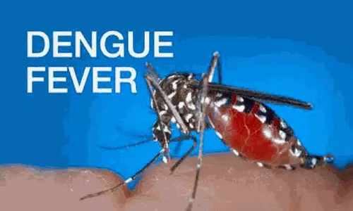 திண்டுக்கல் மாவட்டத்தில் பருவகால நோய்கள் பரவலை தடுக்க முன்னெச்சரிக்கை நடவடிக்கை -கலெக்டர் தலைமையில் ஆலோசனை