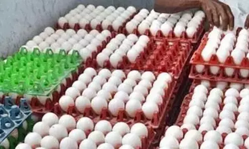 முட்டை விலை 5 பைசா உயர்வு