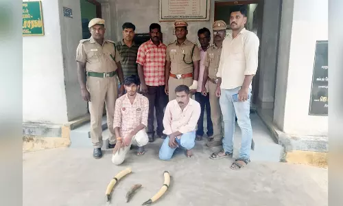 கம்பத்தில் யானை தந்தம் கடத்திய 2 பேர் கைது