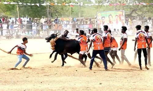 263-வது ஆண்டு எருதுகட்டு விழா