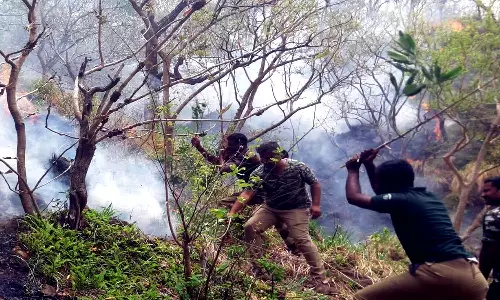 சிவகிரி  மலை பகுதியில் பற்றிய தீ கட்டுக்குள் வந்தது
