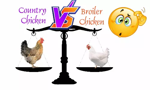 பிராய்லர் கோழி பற்றி தவறான தகவல்களை நம்ப வேண்டாம் - கால்நடை மருத்துவ ஆராய்ச்சி நிலைய  தலைவர்  அறிவுறுத்தல்