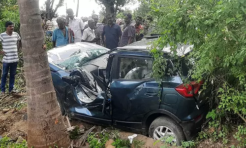 கார் மரத்தில் மோதி டாக்டர் படுகாயம்