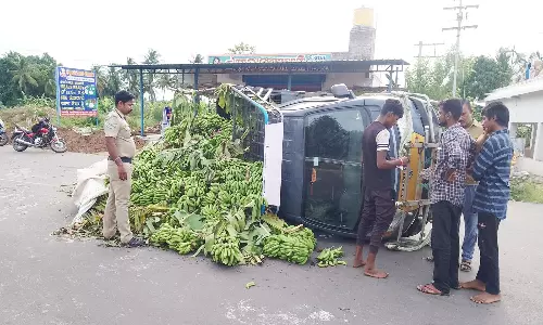வாழைத்தார் ஏற்றி வந்த லோடு ஆட்டோ கவிழ்ந்தது