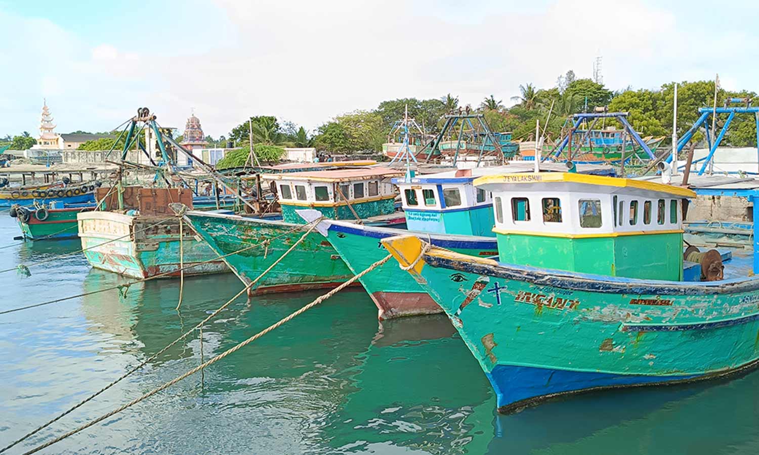 தமிழக மீனவர்கள் 17 பேர் கைது- இலங்கை கடற்படையை கண்டித்து ராமேசுவரம் மீனவர்கள் வேலைநிறுத்தம்