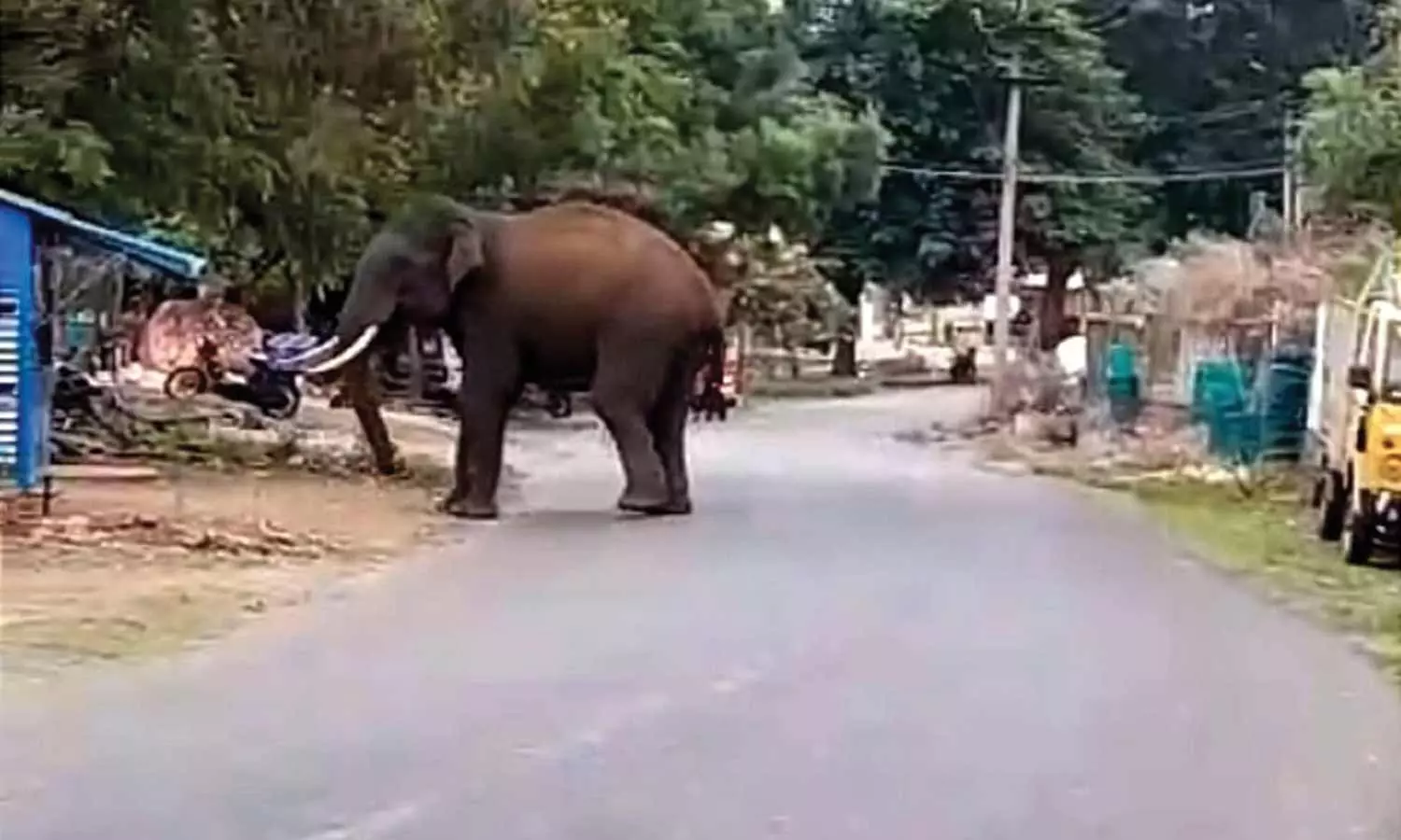 சிறுமுகை பழத்தோட்டம் சாலையில் பகல் நேரத்தில் கிராமத்தில் நுழைந்த ஒற்றை யானையால் பொதுமக்கள் பீதி சிறுமுகை பழத்தோட்டம் சாலையில் பகல் நேரத்தில் கிராமத்தில் நுழைந்த ஒற்றை யானையால் பொதுமக்கள் பீதி