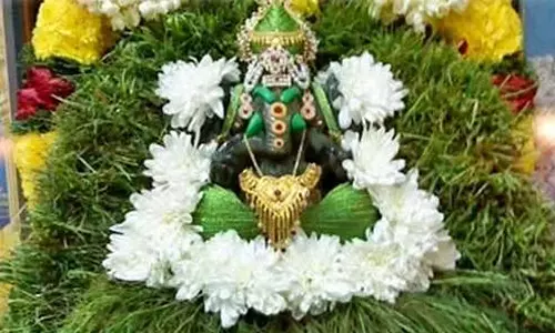 அருகம்புல்லின் மகத்துவம்