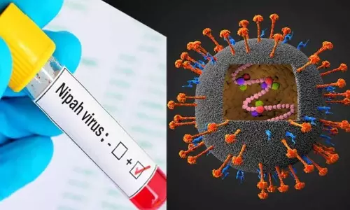 கேரளாவில் நிபா வைரஸ் பரவல் எதிரொலி: தட்சிண கன்னடா, குடகில் முன்னெச்சரிக்கை நடவடிக்கை